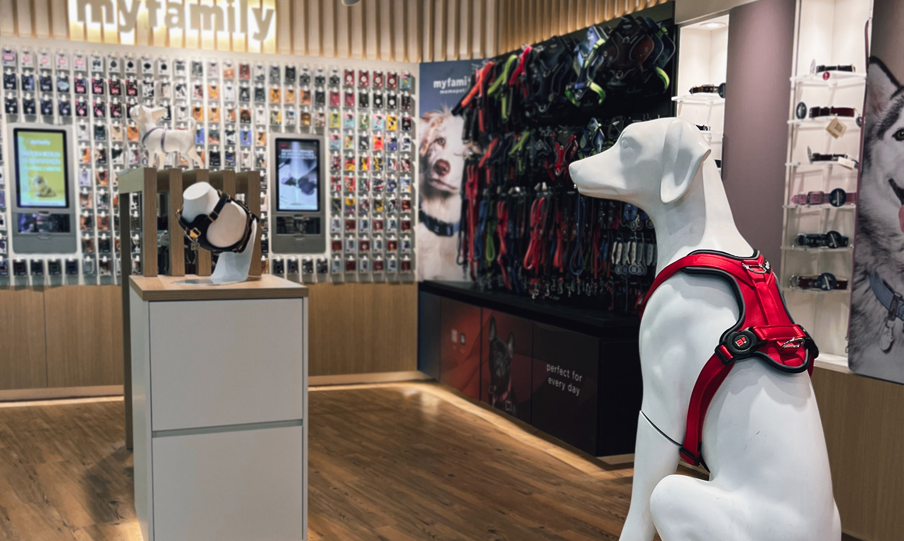 rio de janiero myfamily store